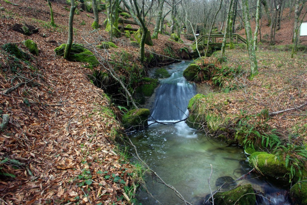 Foto: monte aloia - Tui (Pontevedra), España