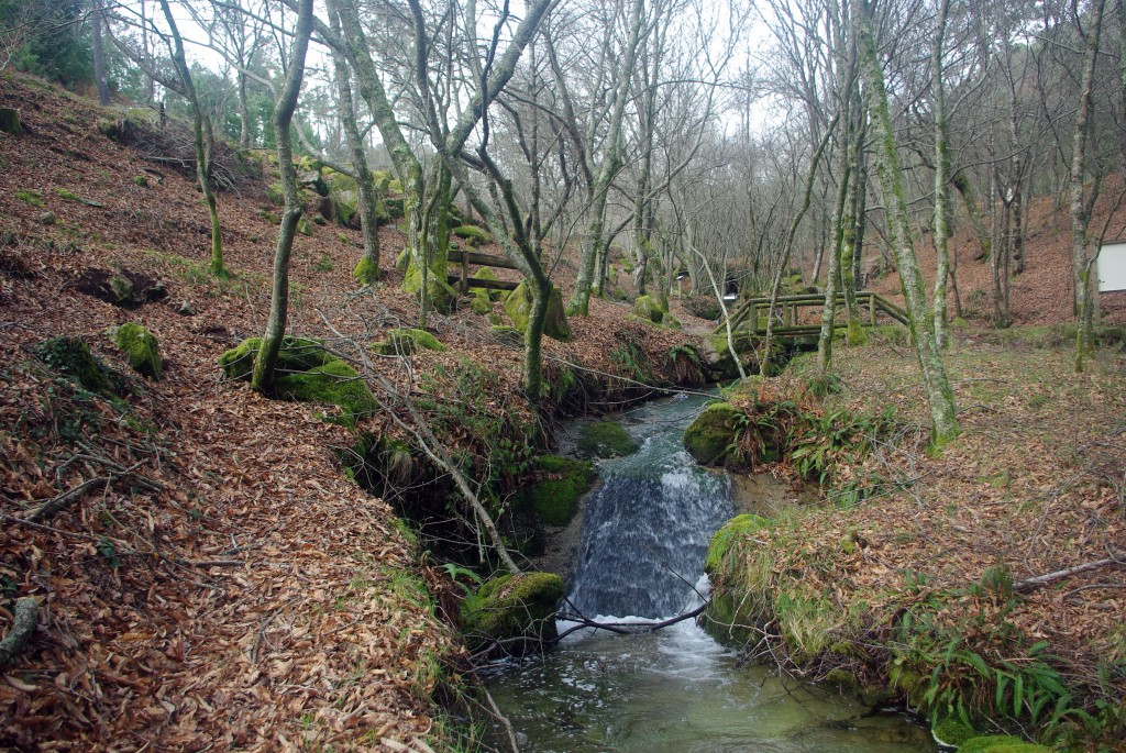 Foto: monte aloia - Tui (Pontevedra), España