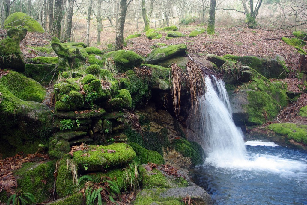 Foto: monte aloia - Tui (Pontevedra), España