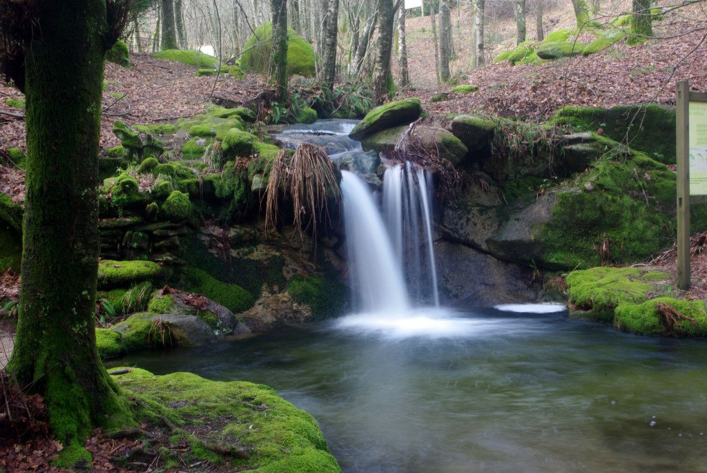 Foto: monte aloia - Tui (Pontevedra), España