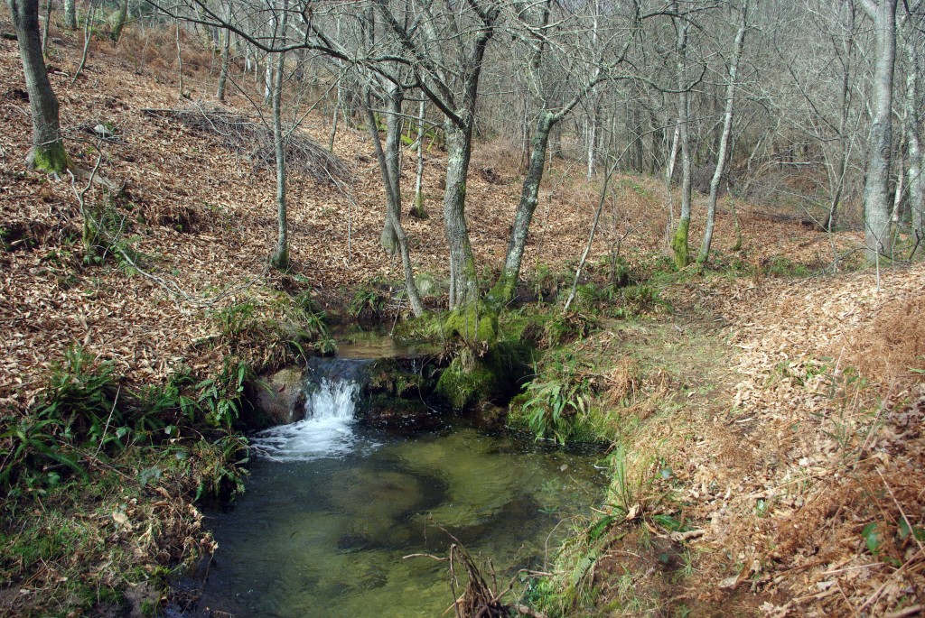 Foto: monte aloia - Tui (Pontevedra), España