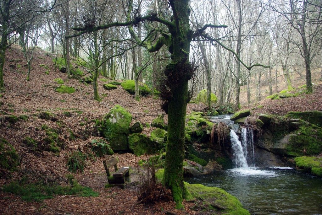 Foto: monte aloia - Tui (Pontevedra), España