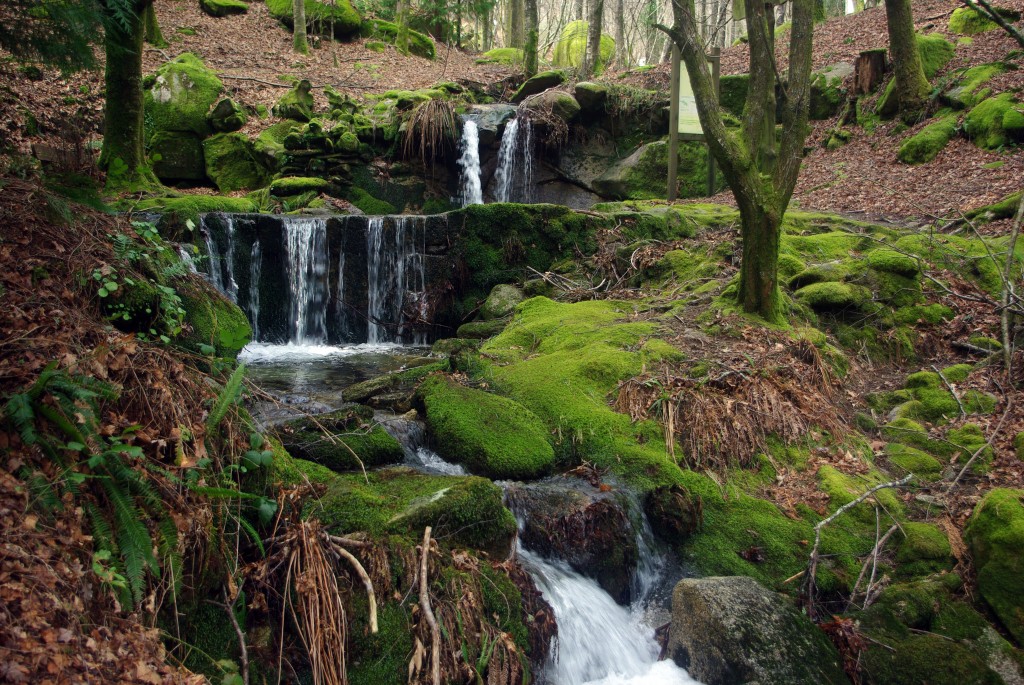 Foto: monte aloia - Tui (Pontevedra), España