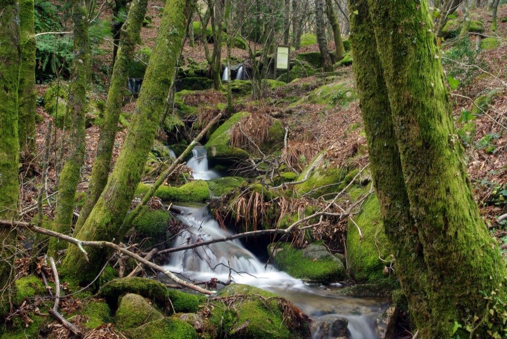 Foto: monte aloia - Tui (Pontevedra), España
