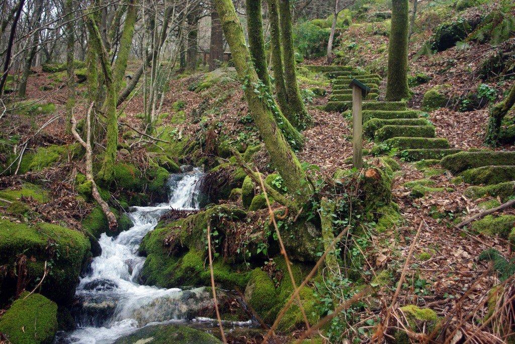 Foto: monte aloia - Tui (Pontevedra), España