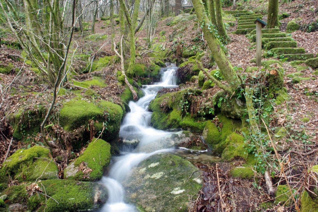 Foto: monte aloia - Tui (Pontevedra), España