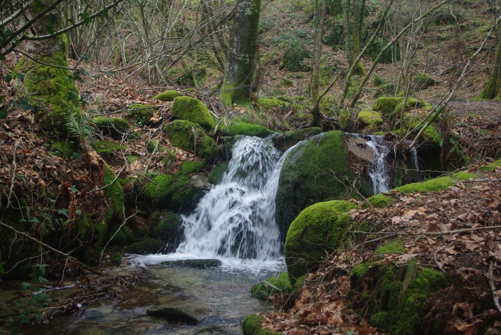 Foto: monte aloia - Tui (Pontevedra), España