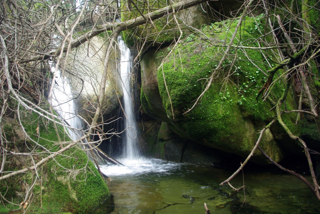 Foto: monte aloia - Tui (Pontevedra), España
