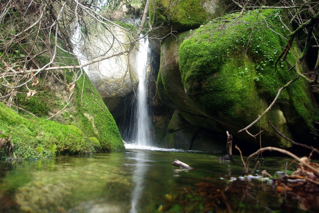 Foto: monte aloia - Tui (Pontevedra), España