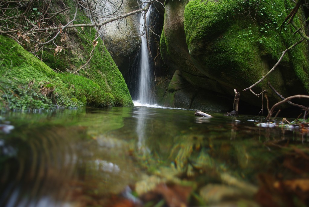 Foto: monte aloia - Tui (Pontevedra), España