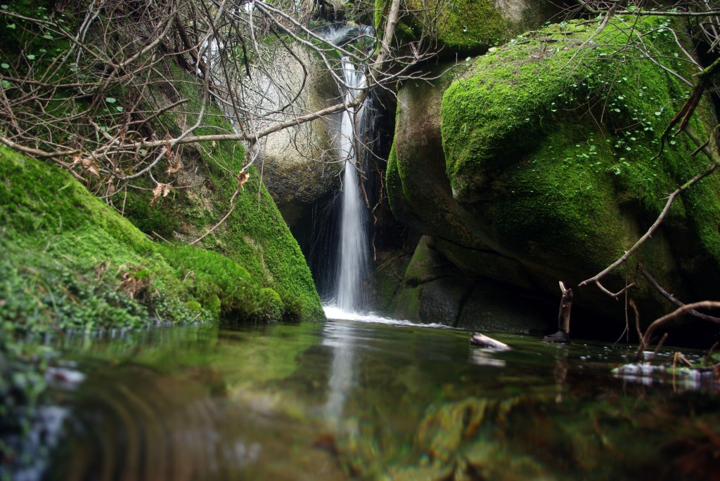 Foto: monte aloia - Tui (Pontevedra), España