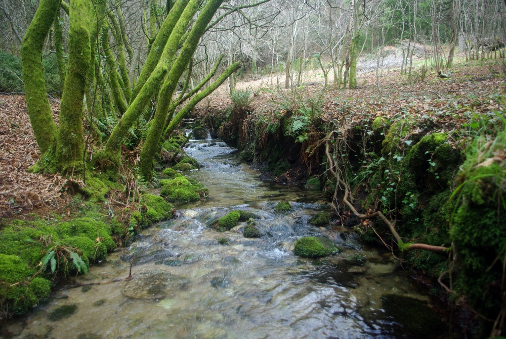 Foto: monte aloia - Tui (Pontevedra), España
