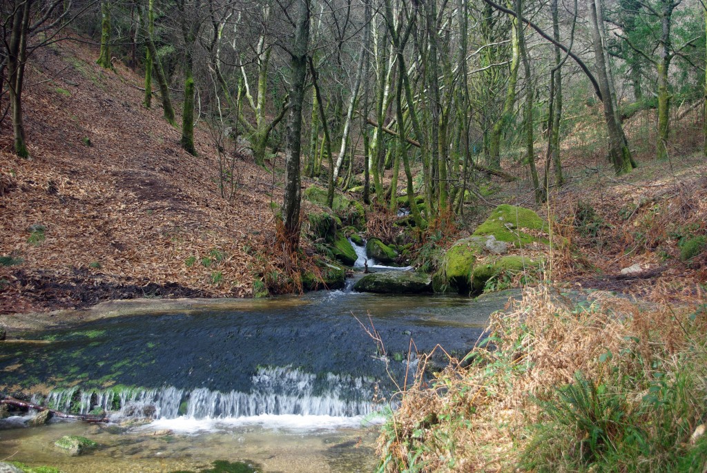 Foto: monte aloia - Tui (Pontevedra), España