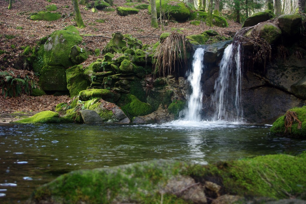 Foto: monte aloia - Tui (Pontevedra), España