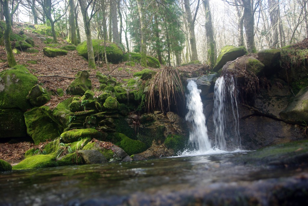 Foto: monte aloia - Tui (Pontevedra), España