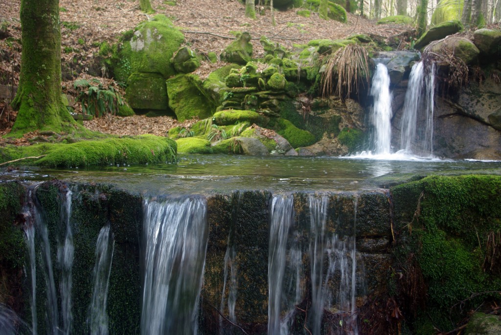 Foto: monte aloia - Tui (Pontevedra), España
