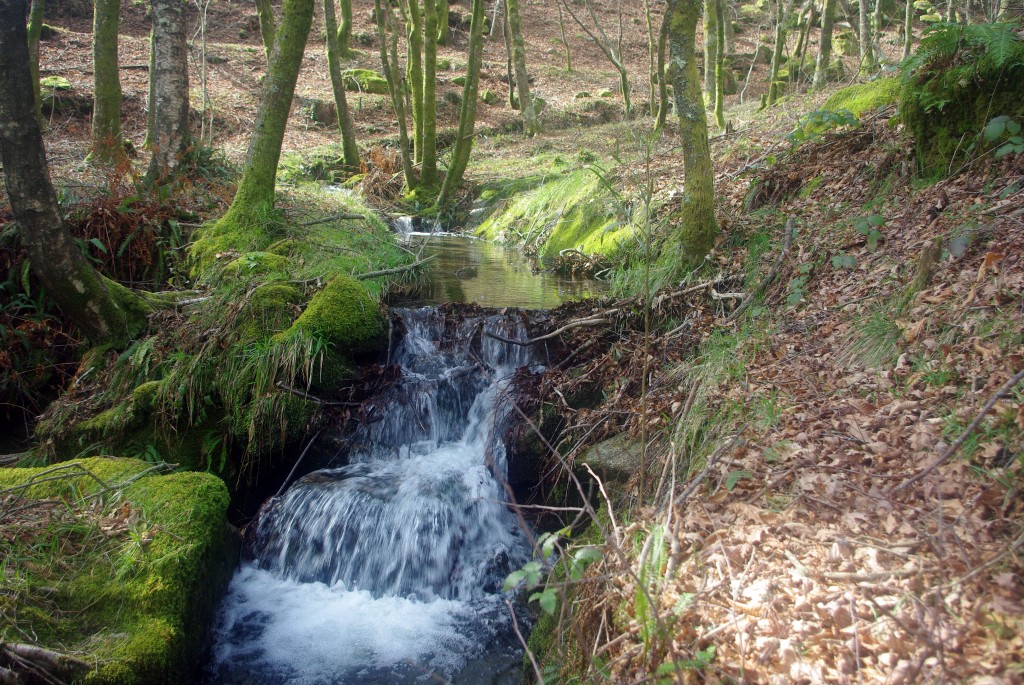 Foto: monte aloia - Tui (Pontevedra), España