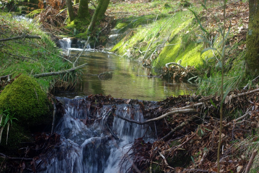Foto: monte aloia - Tui (Pontevedra), España