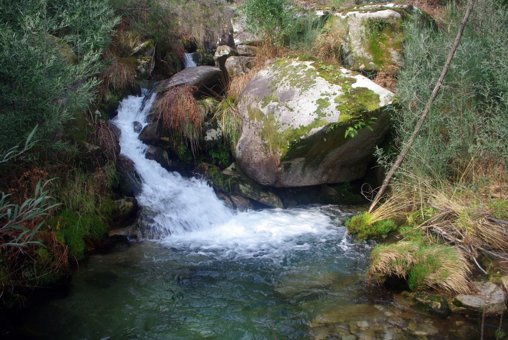 Foto: monte aloia - Tui (Pontevedra), España
