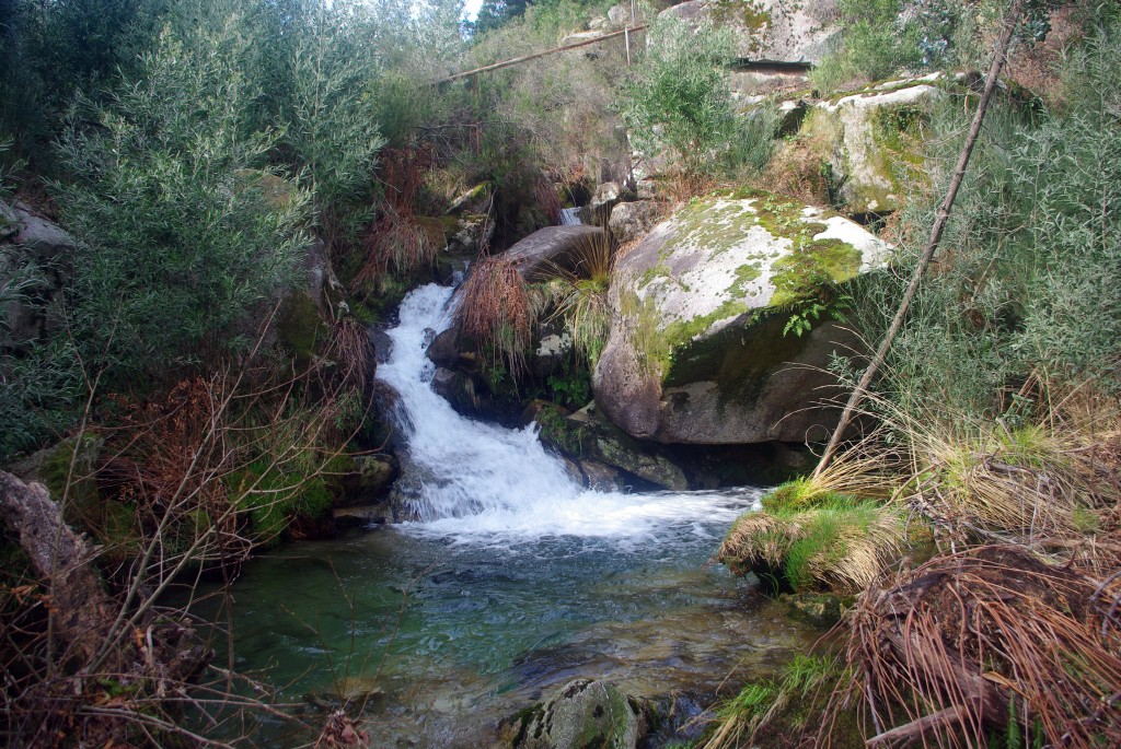 Foto: monte aloia - Tui (Pontevedra), España