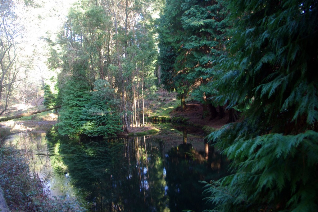 Foto: monte aloia - Tui (Pontevedra), España