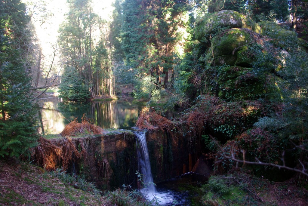 Foto: monte aloia - Tui (Pontevedra), España