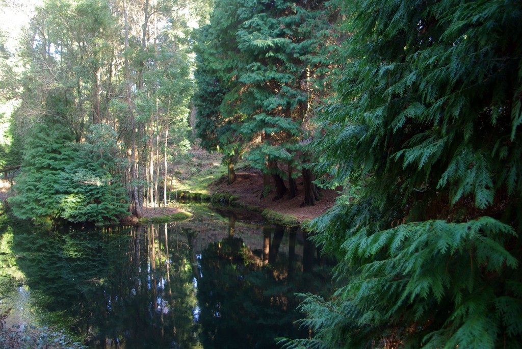 Foto: monte aloia - Tui (Pontevedra), España