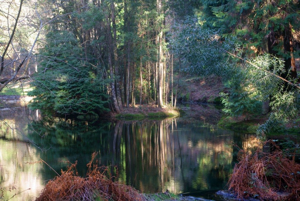 Foto: monte aloia - Tui (Pontevedra), España