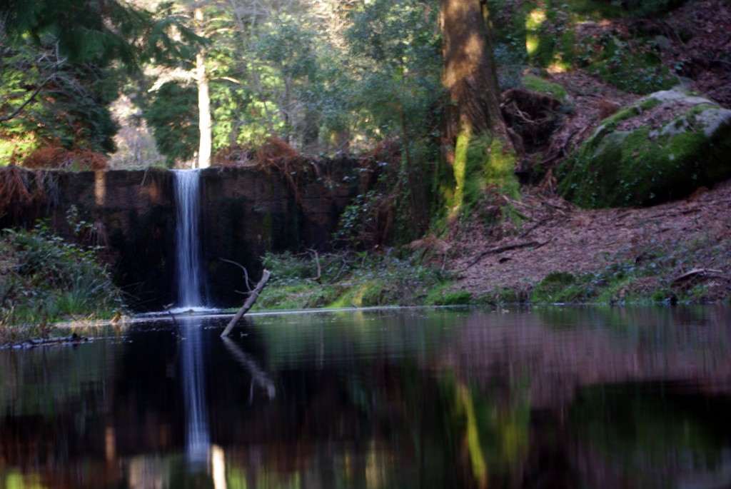 Foto: monte aloia - Tui (Pontevedra), España