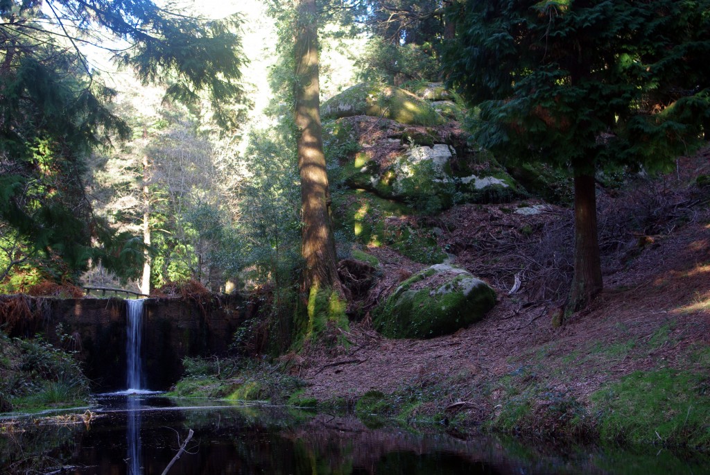 Foto: monte aloia - Tui (Pontevedra), España