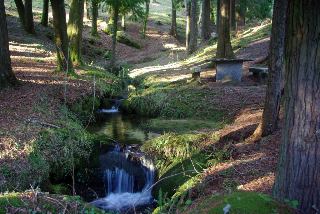 Foto: monte aloia - Tui (Pontevedra), España