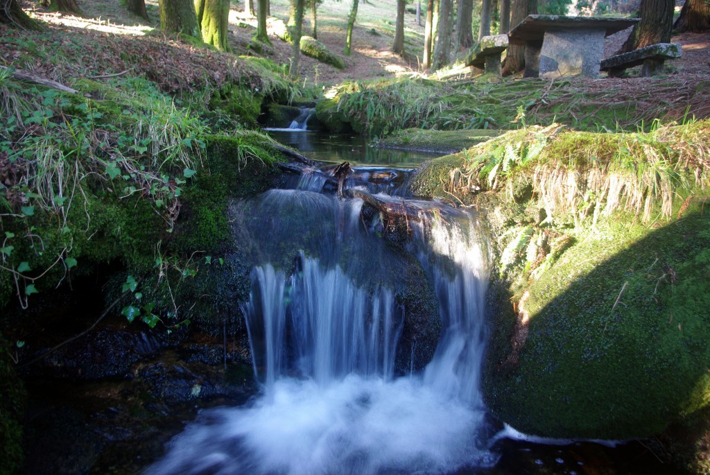 Foto: monte aloia - Tui (Pontevedra), España