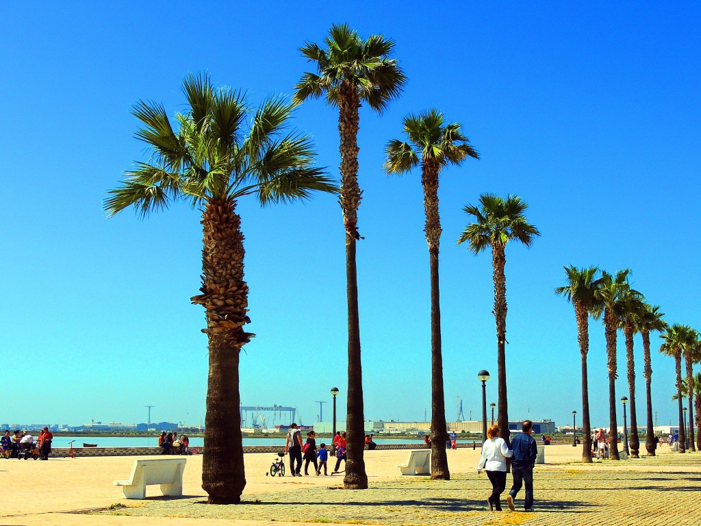 Foto: Plaza Rafael Alberti - Puerto Real (Cádiz), España