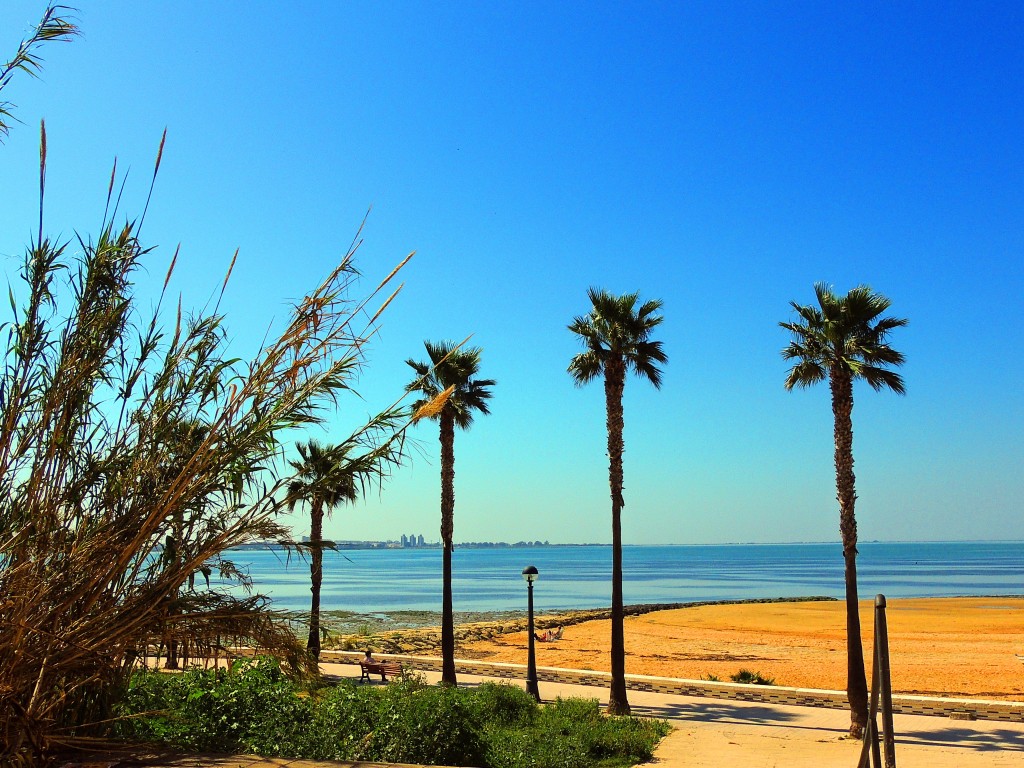 crecer Claire plan de ventas Foto: Playa Cachucha - Puerto Real (Cádiz), España