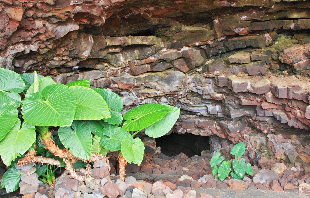Foto: Cueva de los Verdes - Haría (Lanzarote) (Las Palmas), España