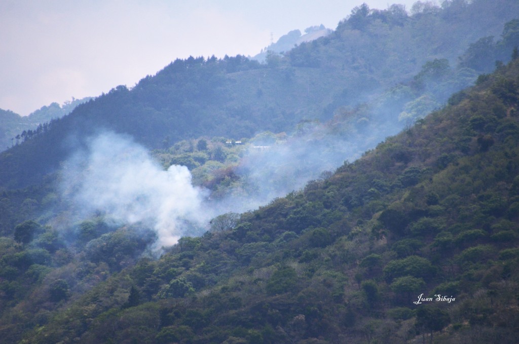 Foto de Caño negro (Alajuela), Costa Rica