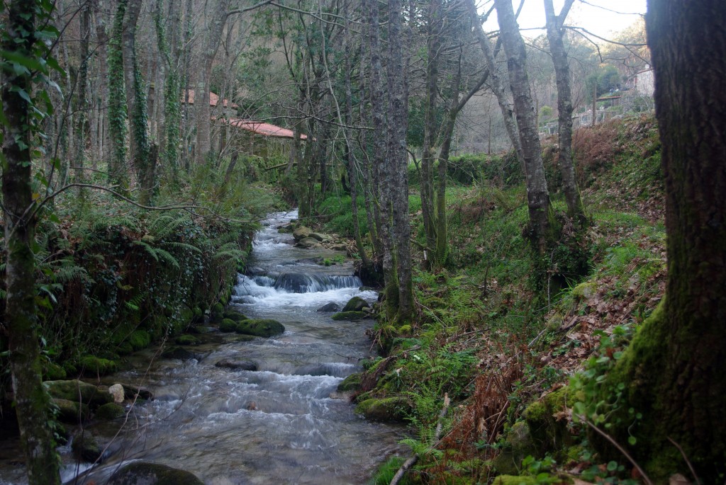 Foto: Rio Tripes - Tui (Pontevedra), España