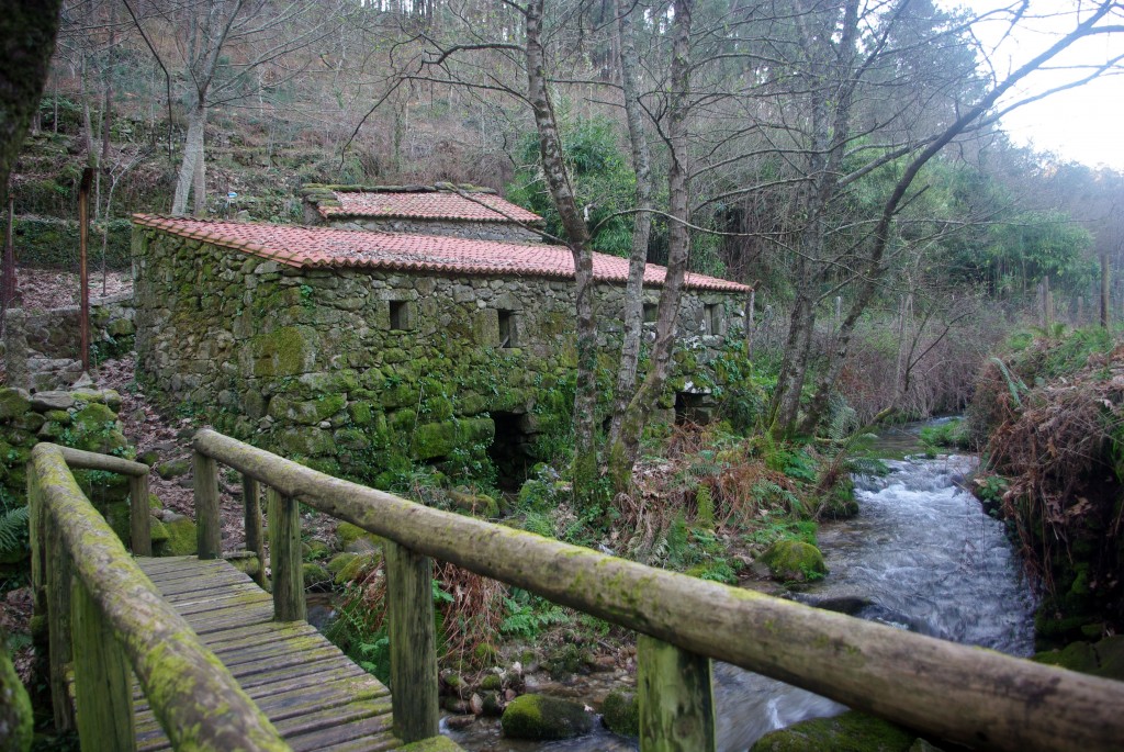 Foto: Rio Tripes - Tui (Pontevedra), España