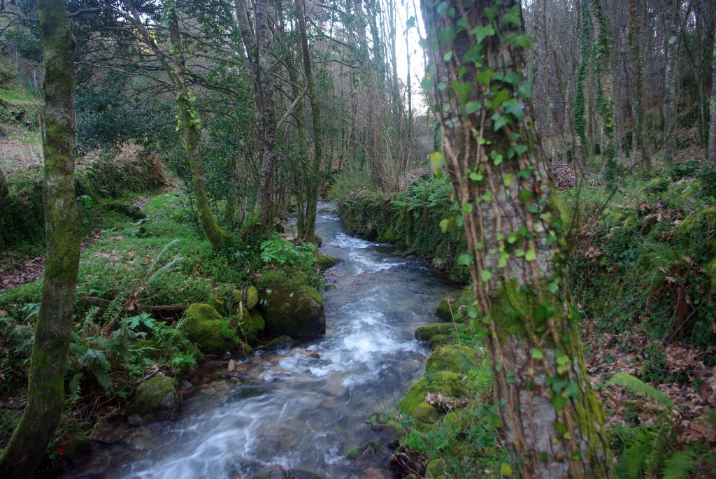 Foto: Rio Tripes - Tui (Pontevedra), España