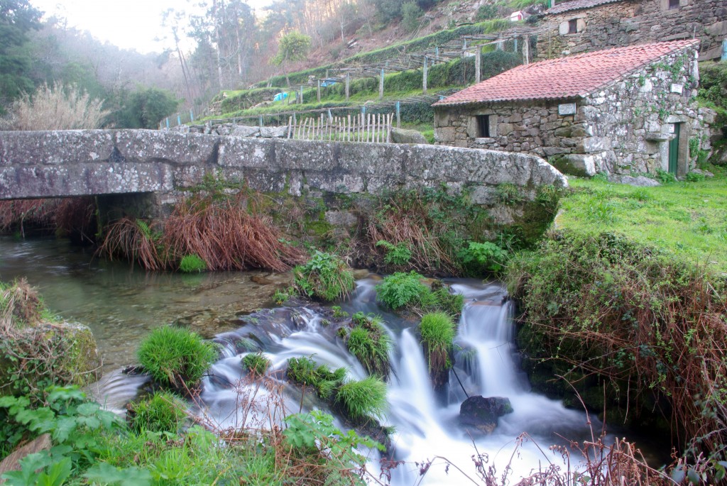 Foto: Rio Tripes - Tui (Pontevedra), España