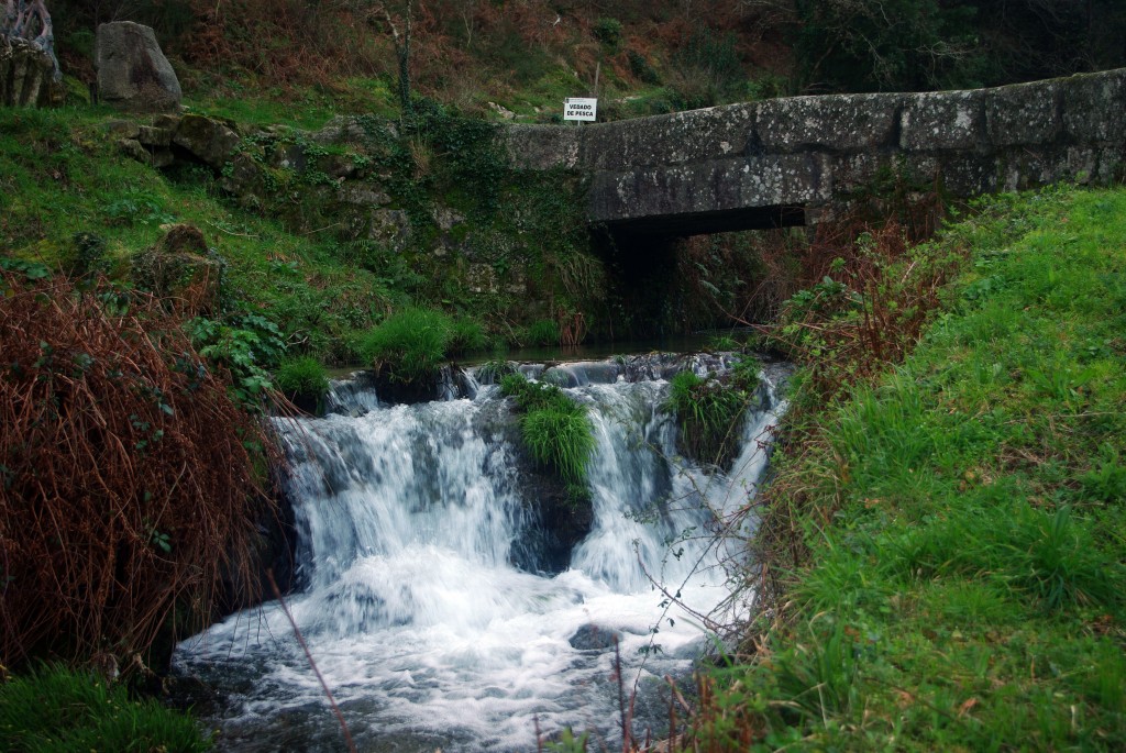 Foto: Rio Tripes - Tui (Pontevedra), España