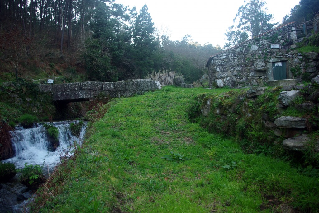 Foto: Rio Tripes - Tui (Pontevedra), España