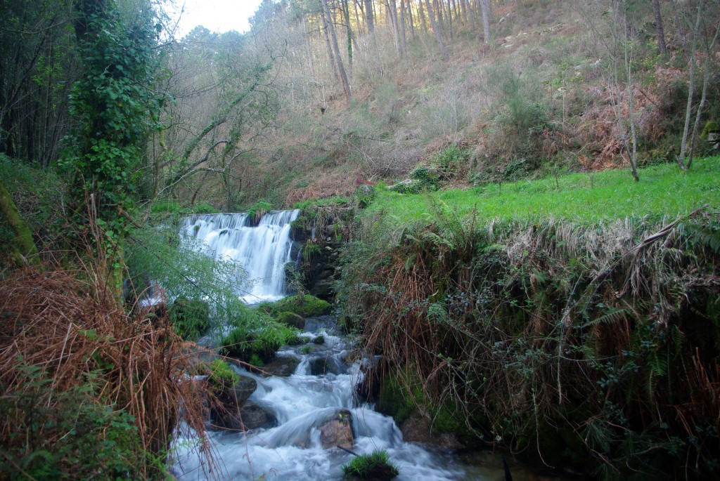 Foto: Rio Tripes - Tui (Pontevedra), España