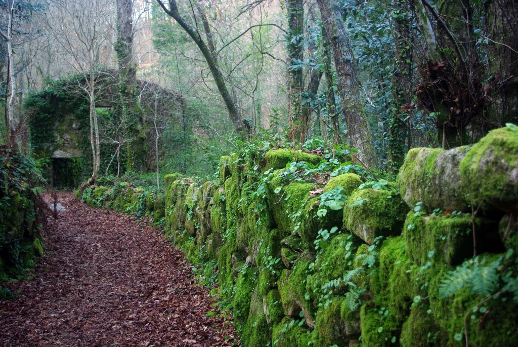 Foto: Rio Tripes - Tui (Pontevedra), España