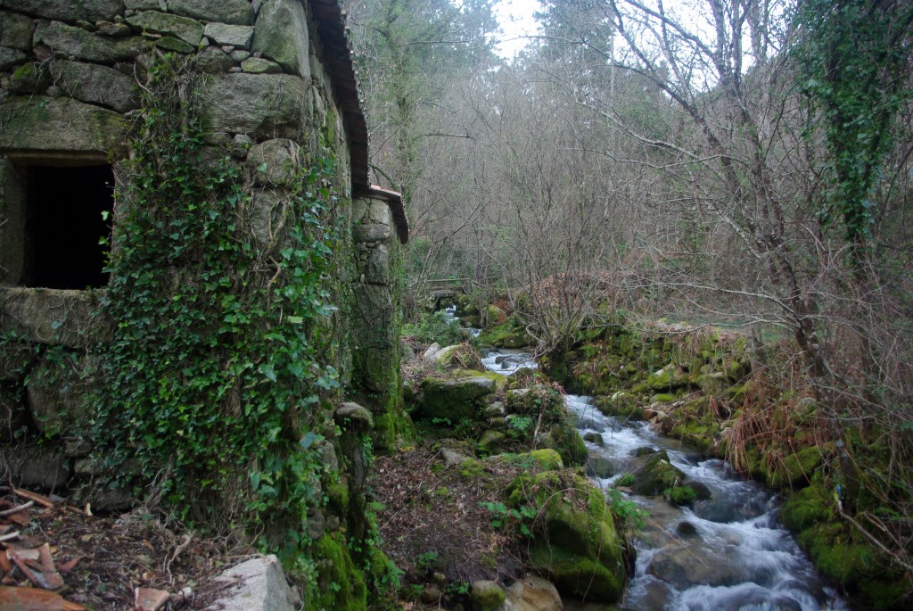 Foto: Rio Tripes - Tui (Pontevedra), España