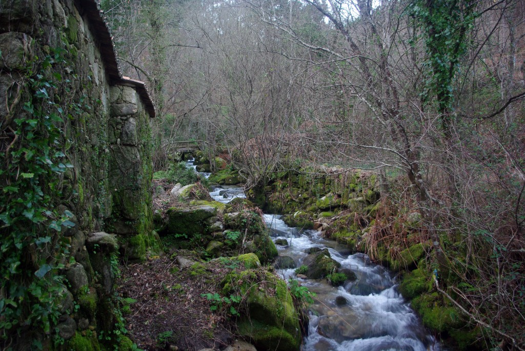 Foto: Rio Tripes - Tui (Pontevedra), España