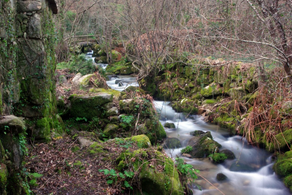 Foto: Rio Tripes - Tui (Pontevedra), España