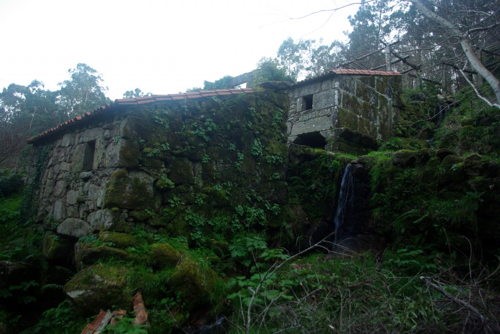 Foto: Rio Tripes - Tui (Pontevedra), España