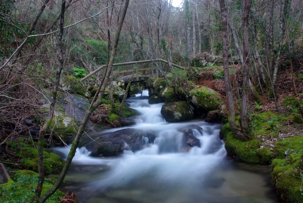 Foto: Rio Tripes - Tui (Pontevedra), España