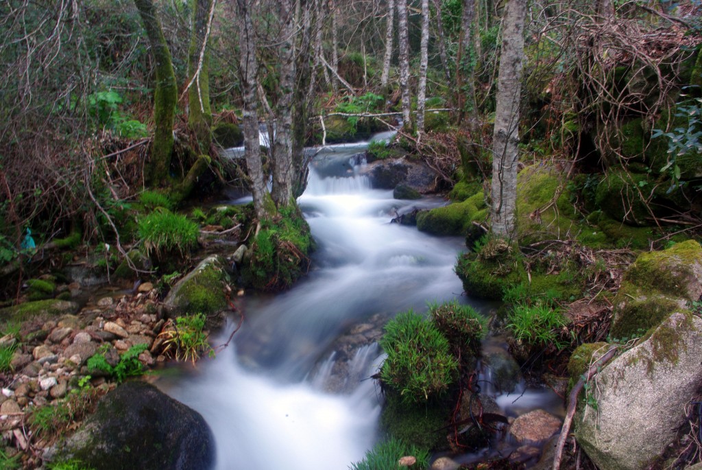 Foto: Rio Tripes - Tui (Pontevedra), España